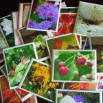 Photo greeting cards